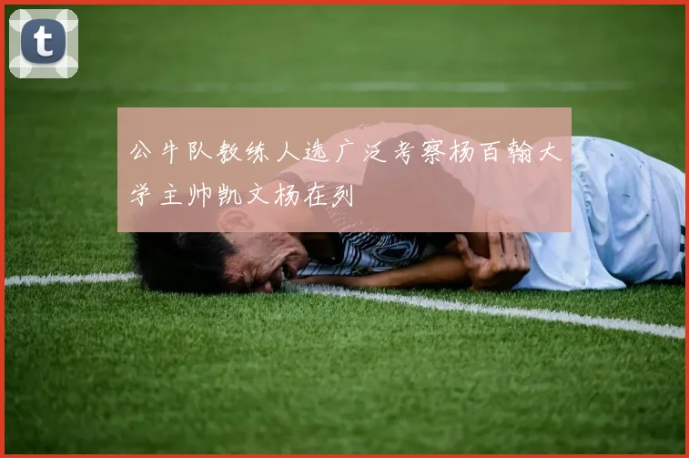 公牛队教练人选广泛考察杨百翰大学主帅凯文杨在列