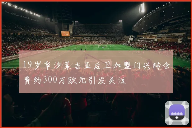 19岁华沙莱吉亚后卫加盟门兴转会费约300万欧元引发关注